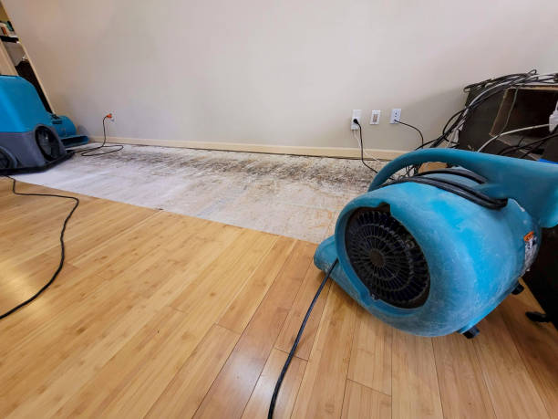 Professional Flood Damage Cleanup technician working in Oil City, PA